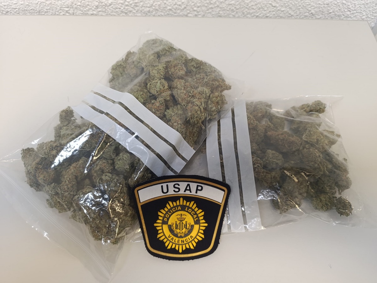 Droga incautada por la USAP en Valencia